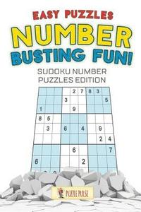 bokomslag Number Busting Fun! Easy Puzzles