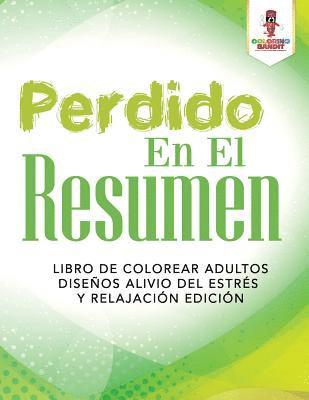 bokomslag Perdido En El Resumen