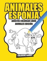 bokomslag Animales Esponja