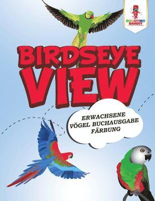 Birdseye View 1