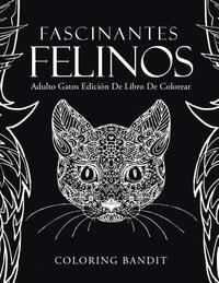 bokomslag Fascinantes Felinos