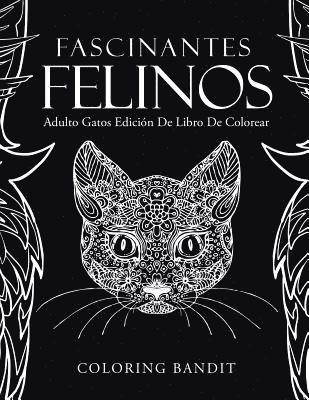 bokomslag Fascinantes Felinos