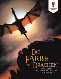 bokomslag Die Farbe des Drachen