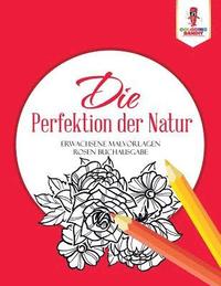 bokomslag Die Perfektion der Natur