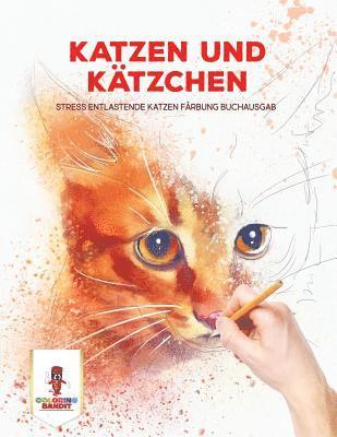 bokomslag Katzen und Ktzchen