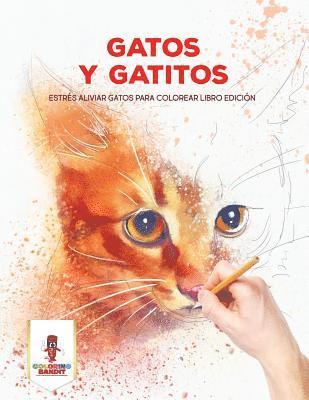 bokomslag Gatos Y Gatitos