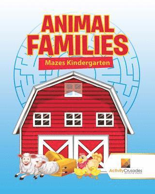 Activity Crusades - Animal Families, Häftad