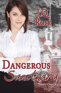 bokomslag Dangerous Sanctuary: 2nd Edition