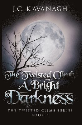 bokomslag Bright Darkness