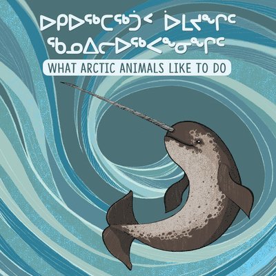 What Arctic Animals Like to Do 1