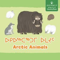 bokomslag Arctic Animals