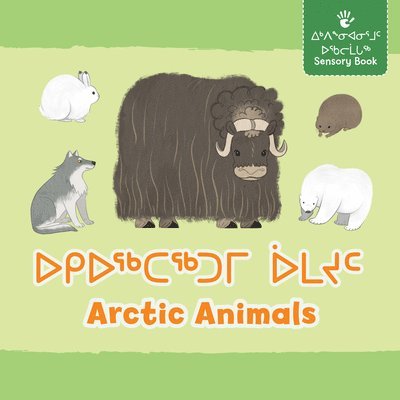 Arctic Animals 1