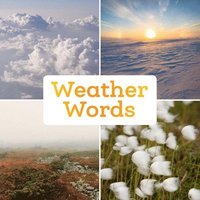 bokomslag Weather Words