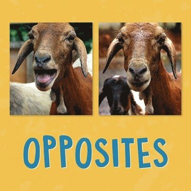 bokomslag Opposites