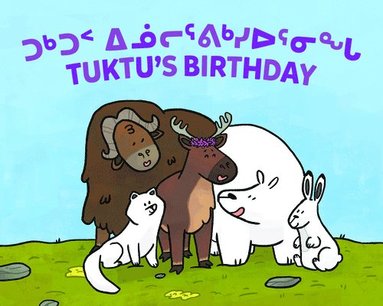 bokomslag Tuktu's Birthday