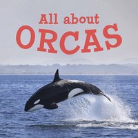 bokomslag All about Orcas
