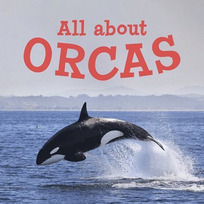 All about Orcas 1