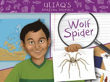 Danny Christopher - Uliaq's Amazing Animals: Wolf Spider, Häftad