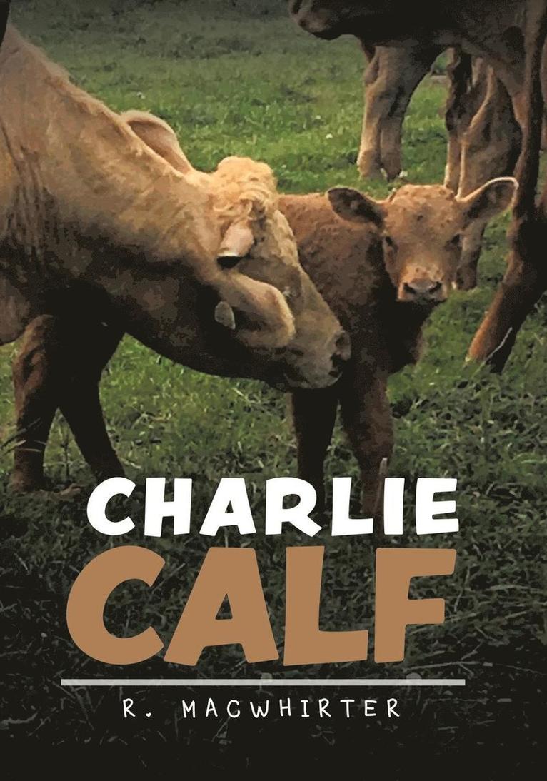 Charlie Calf 1
