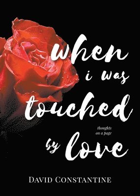David Constantine - When I was Touched by Love, Häftad