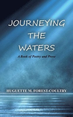 bokomslag Journeying the Waters