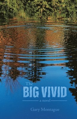 Gary Montague - Big Vivid, Häftad