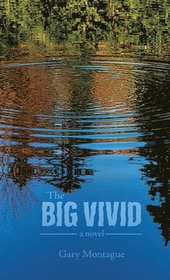 Gary Montague - Big Vivid, Inbunden