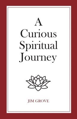 bokomslag Curious Spiritual Journey