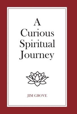 bokomslag Curious Spiritual Journey