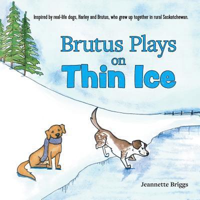 Jeannette Briggs - Brutus Plays on Thin Ice, Häftad