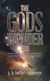 bokomslag Gods Wonder Too