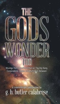 bokomslag Gods Wonder Too