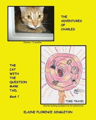 bokomslag The Adventures of Charles The Cat With The Question Mark Tail