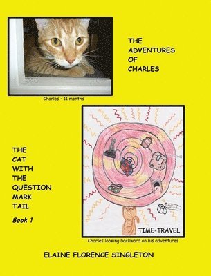 bokomslag The Adventures of Charles The Cat With The Question Mark Tail