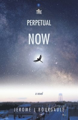 bokomslag Perpetual Now