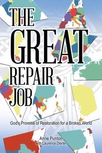 bokomslag The Great Repair Job