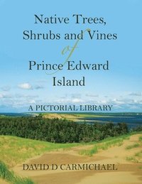 bokomslag Native Trees, Shrubs and Vines of Prince Edward Island