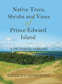 bokomslag Native Trees, Shrubs and Vines of Prince Edward Island