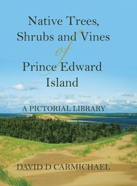 bokomslag Native Trees, Shrubs and Vines of Prince Edward Island