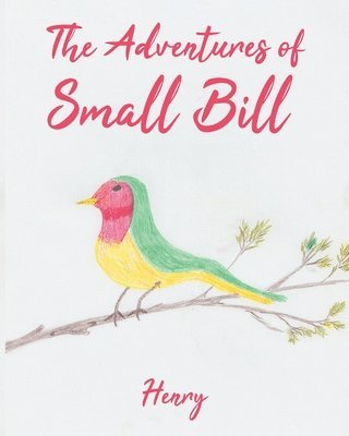 Henry - Adventures of Small Bill, Häftad