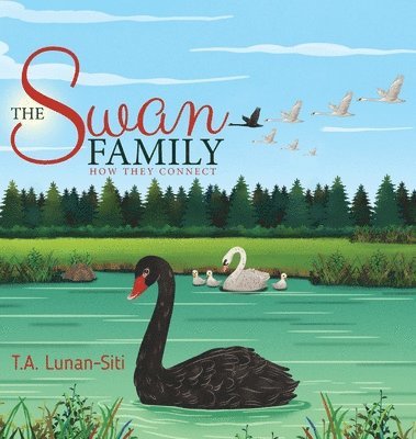 bokomslag Swan Family