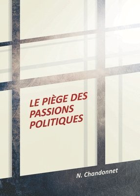 bokomslag Le pige des passions politiques