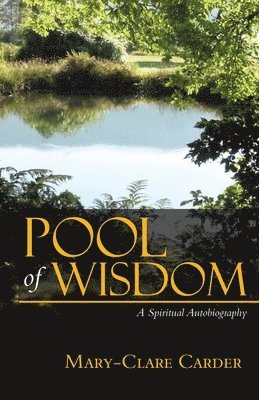 bokomslag Pool of Wisdom