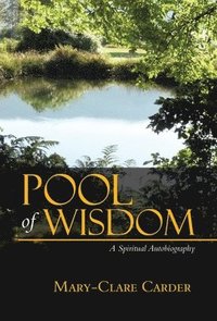 bokomslag Pool of Wisdom