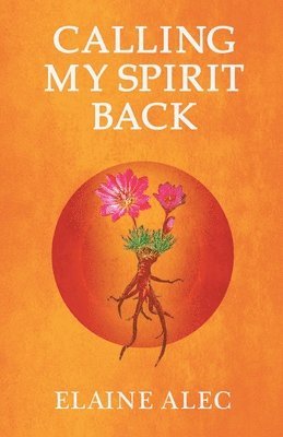 bokomslag Calling My Spirit Back
