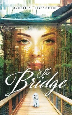 The Bridge 1