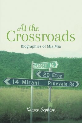 bokomslag At the Crossroads