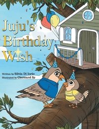 bokomslag Juju's Birthday Wish