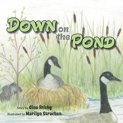 Down on the Pond 1