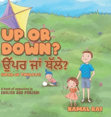 bokomslag Up or Down? &#2569;&#2673;&#2602;&#2608; &#2588;&#2622;&#2562; &#2597;&#2673;&#2610;&#2631;? (Upar ja Thulay?)